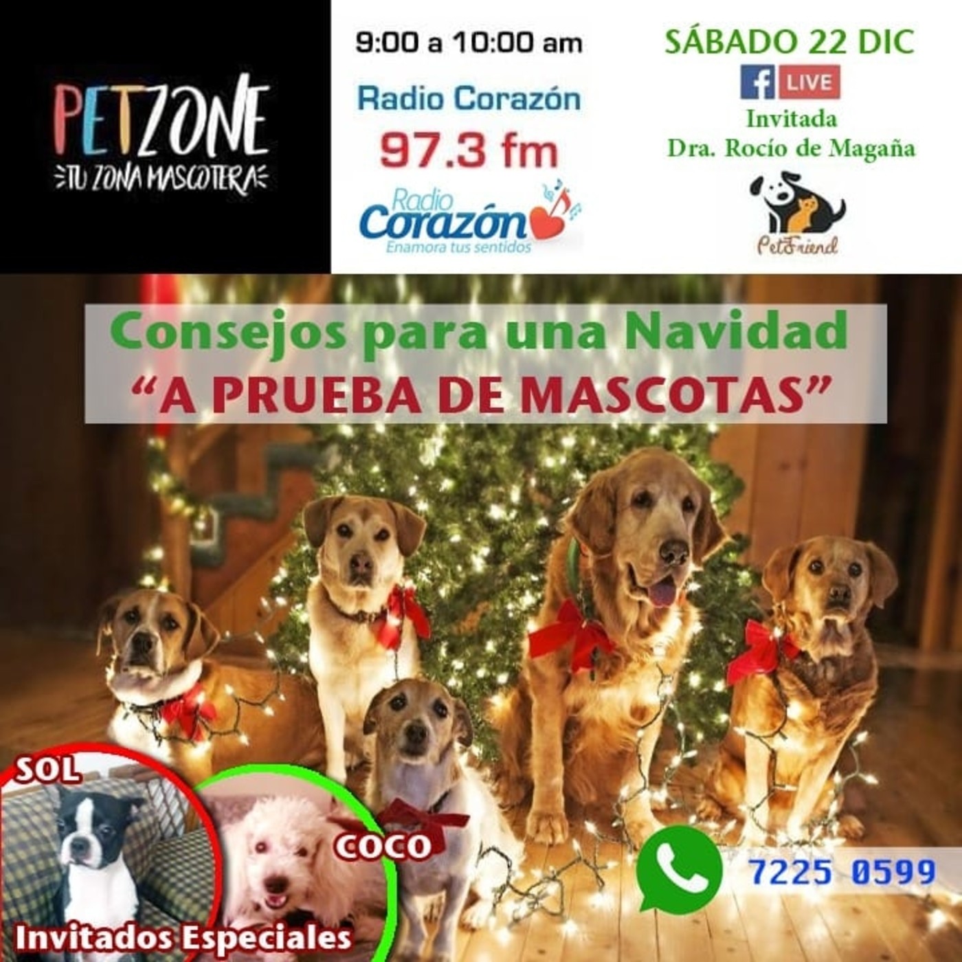 PetzoneSV