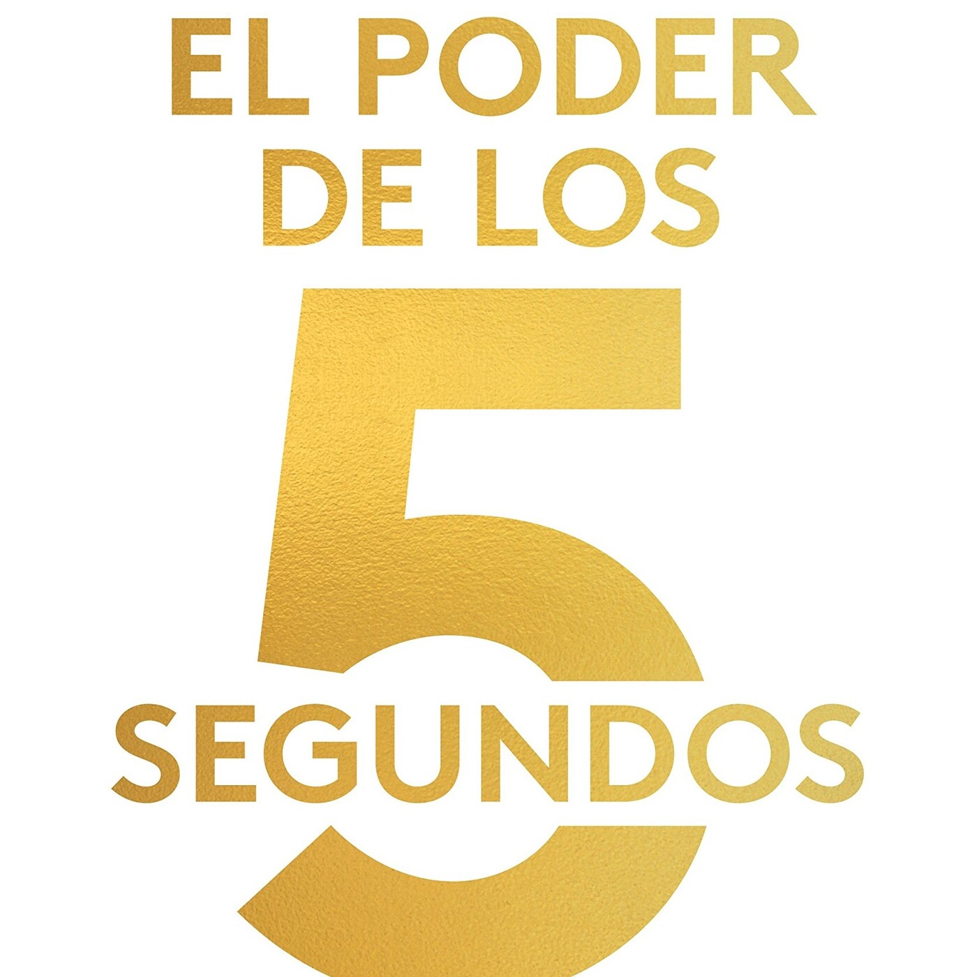 Salvador Mingo -Conocimiento Experto-