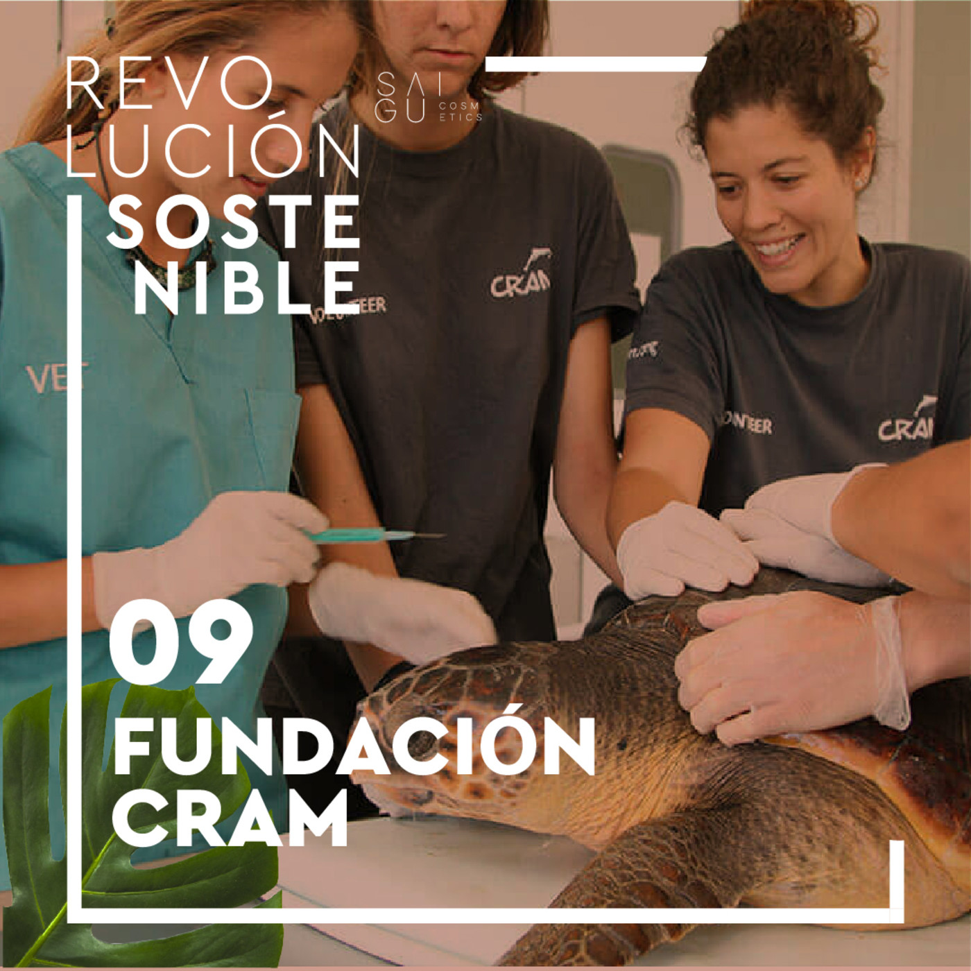 Revolución sostenible