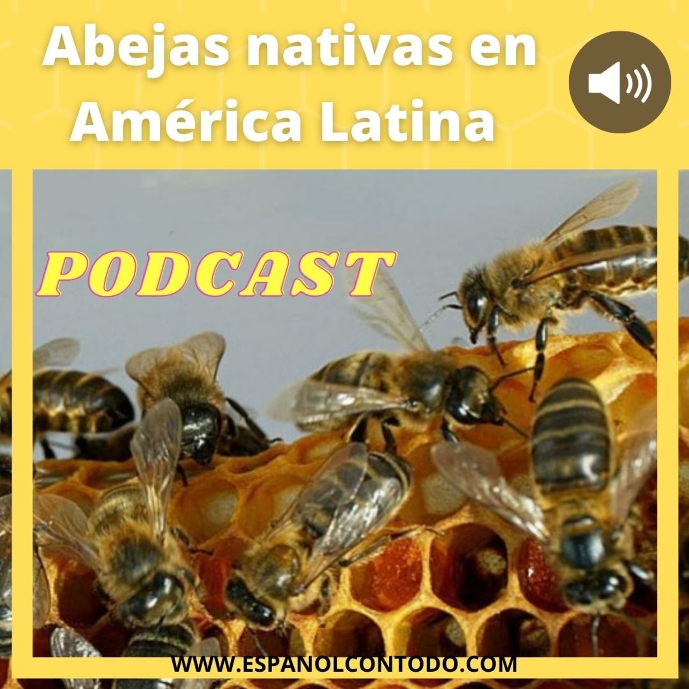 037 - Abejas nativas en América Latina