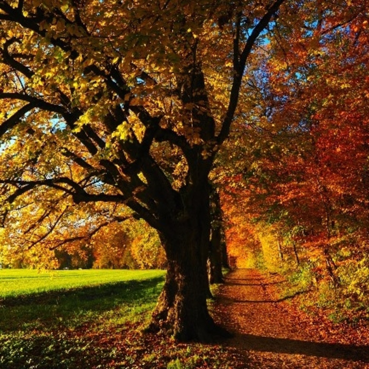 Otoño de mis principios episode artwork