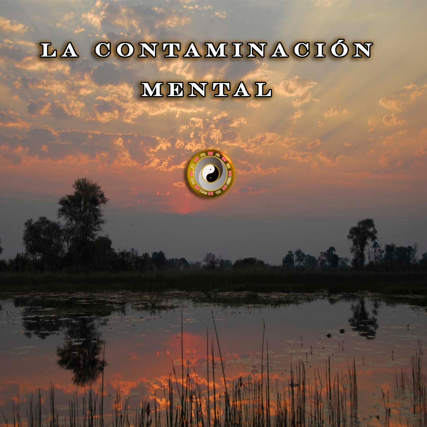 Meditación y Reflexión con Pedro Valencia