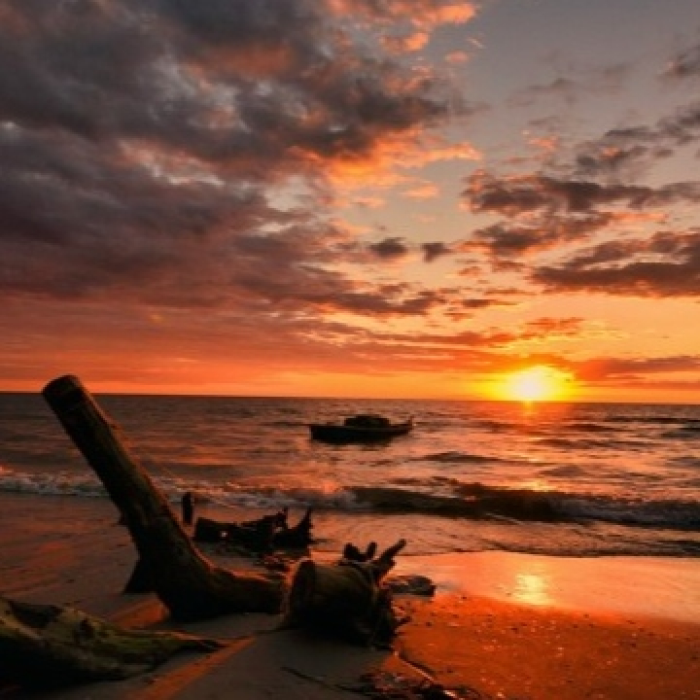 Vivir en verso