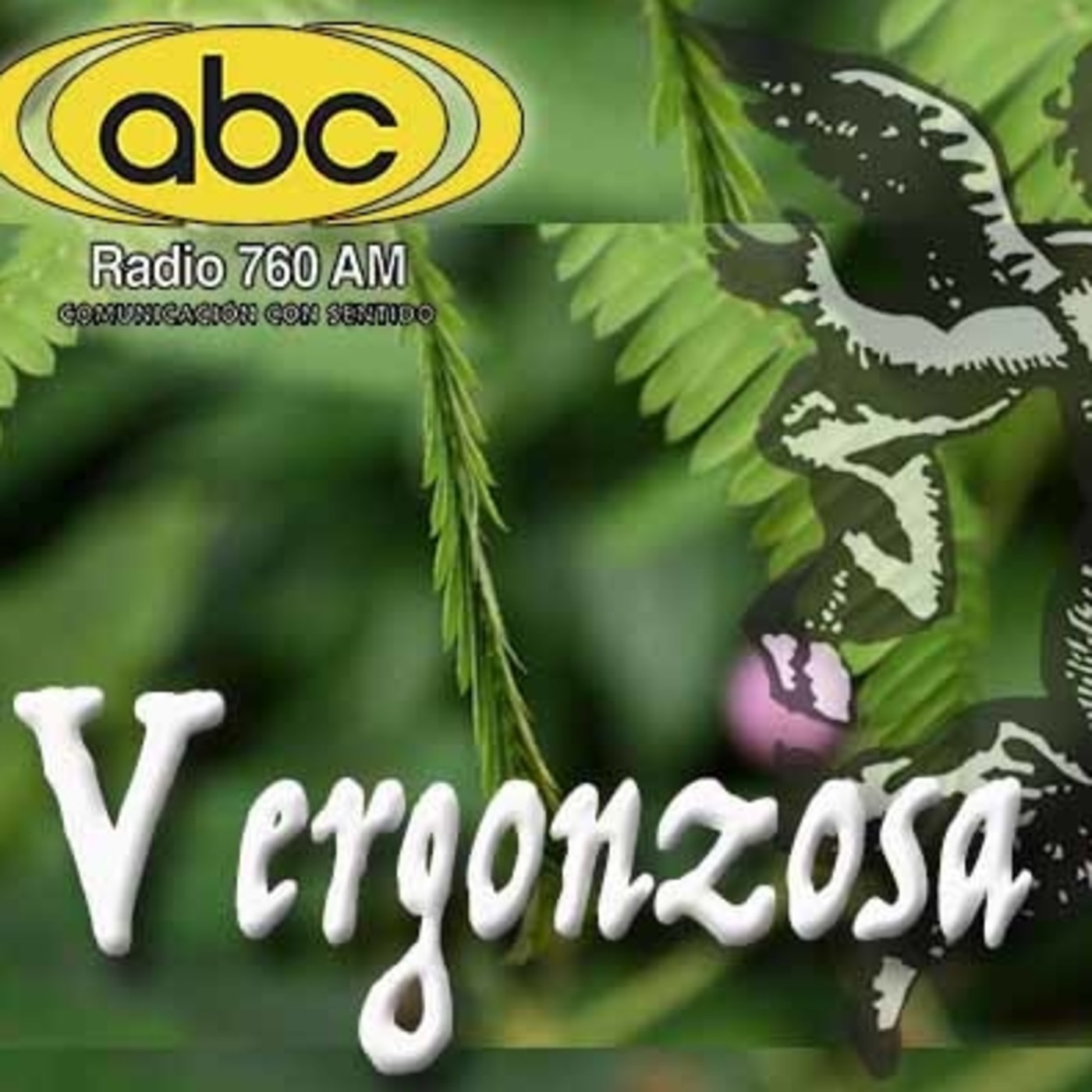 El Ángel de tu Salud - VERGONZOSA episode artwork