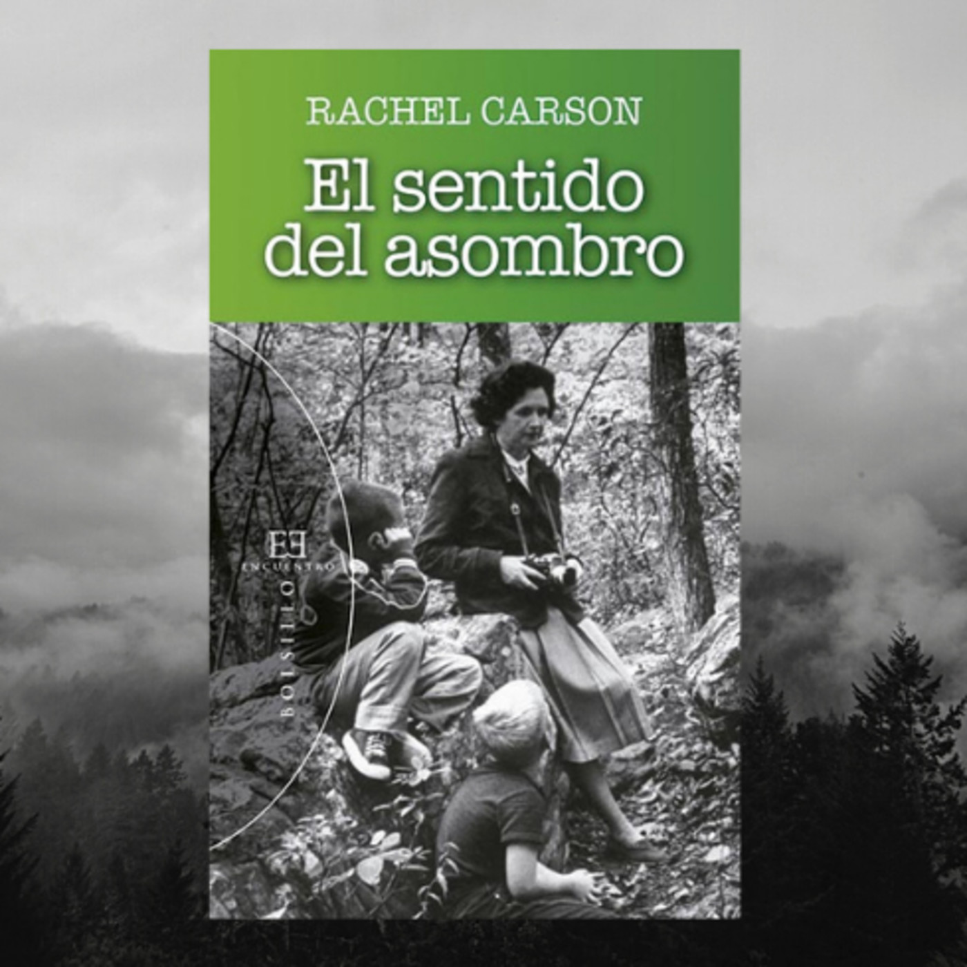 Rachel Carson y El sentido del Asombro