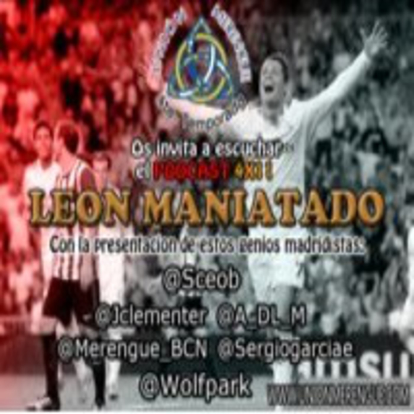 4X11 León maniatado