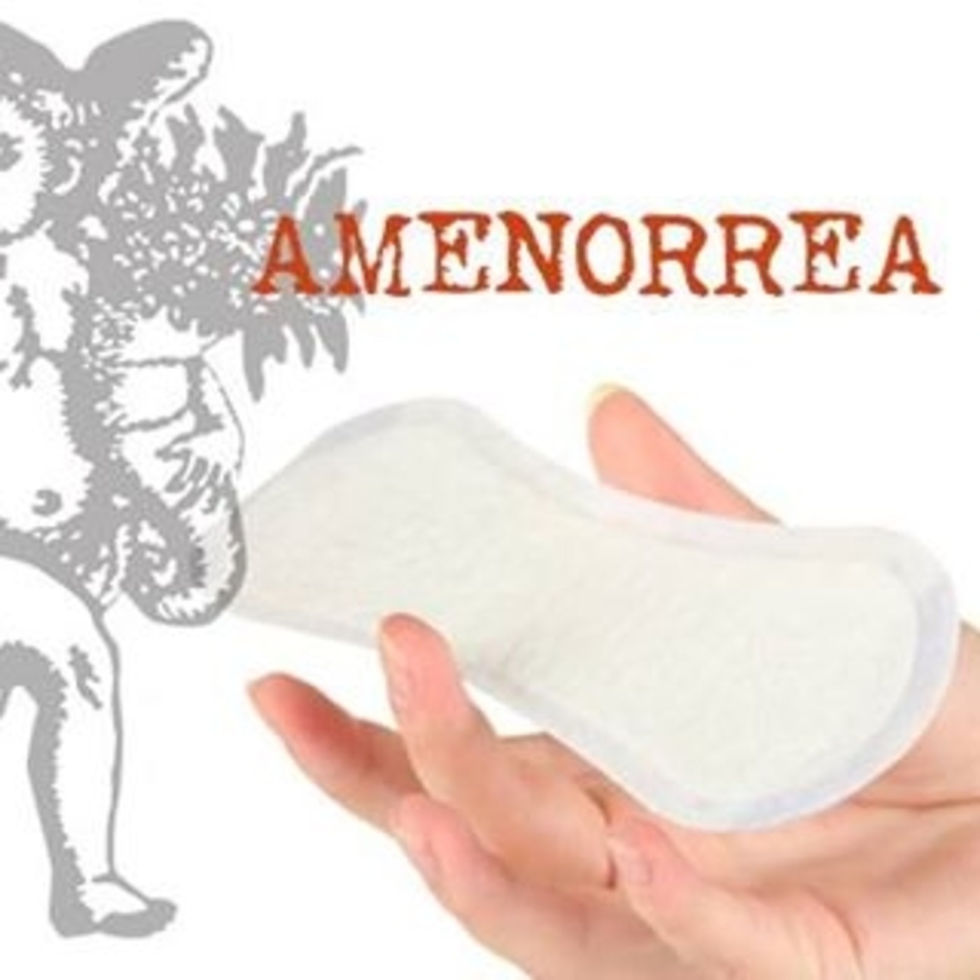 El Ángel de tu Salud - AMENORREA episode artwork