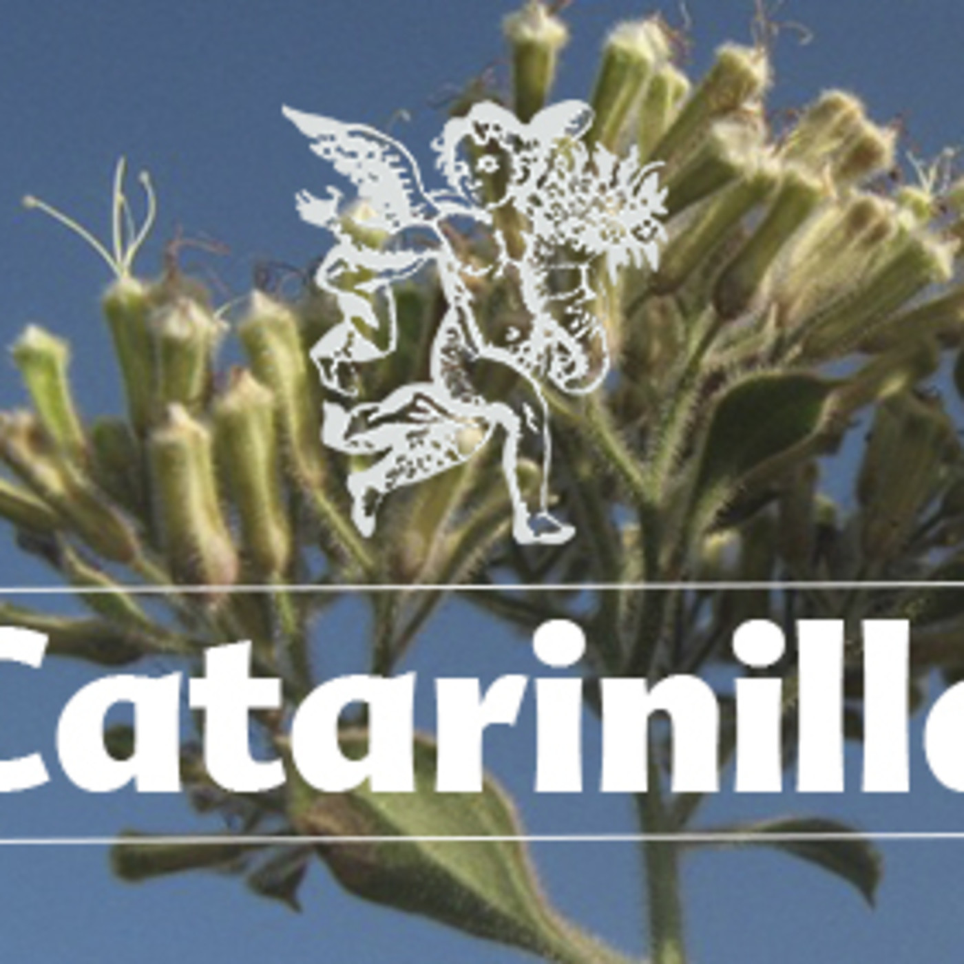 El Ángel de tu Salud - CATARINILLA episode artwork