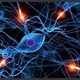 La celula y la neurona