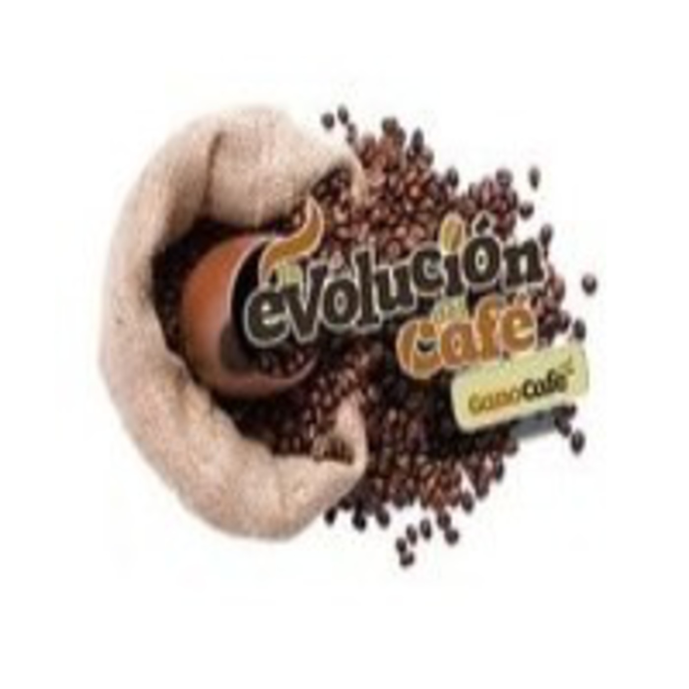 Presentación Servilleta 5 de 7