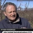 El investigador Javier Rodrigo en el programa 'Del Campo a la Mesa' de RNE