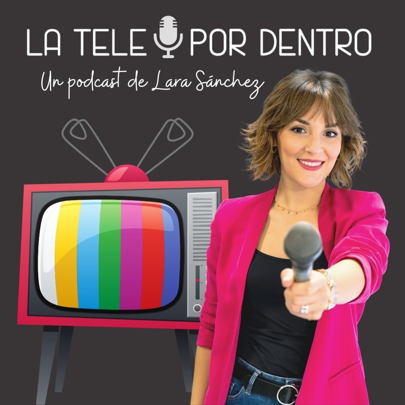 La tele por dentro