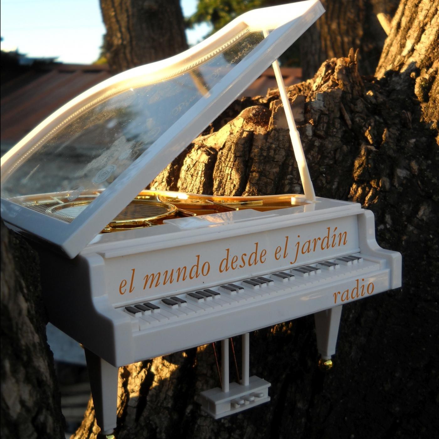 El mundo desde el jardín - Radio.