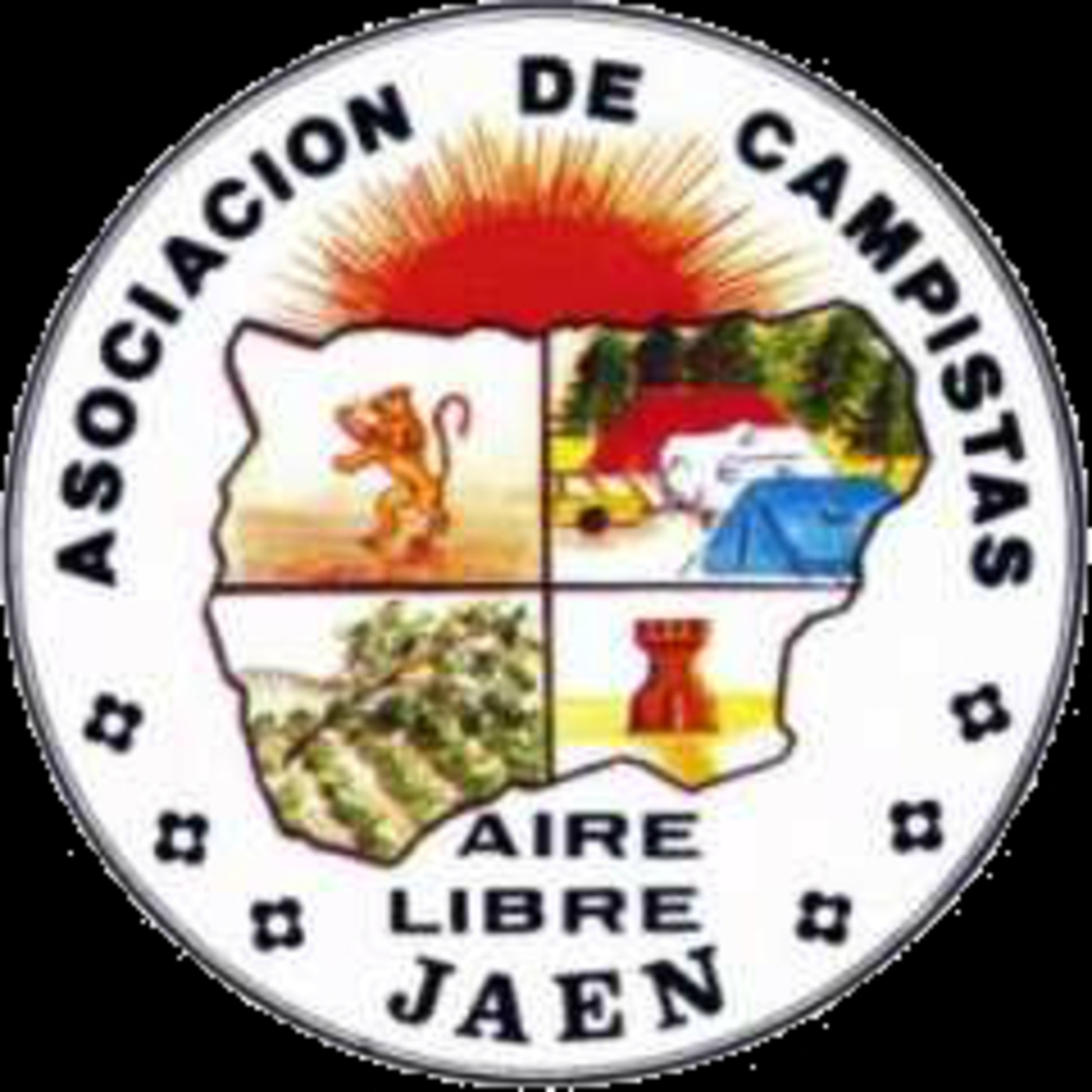 Zonacv