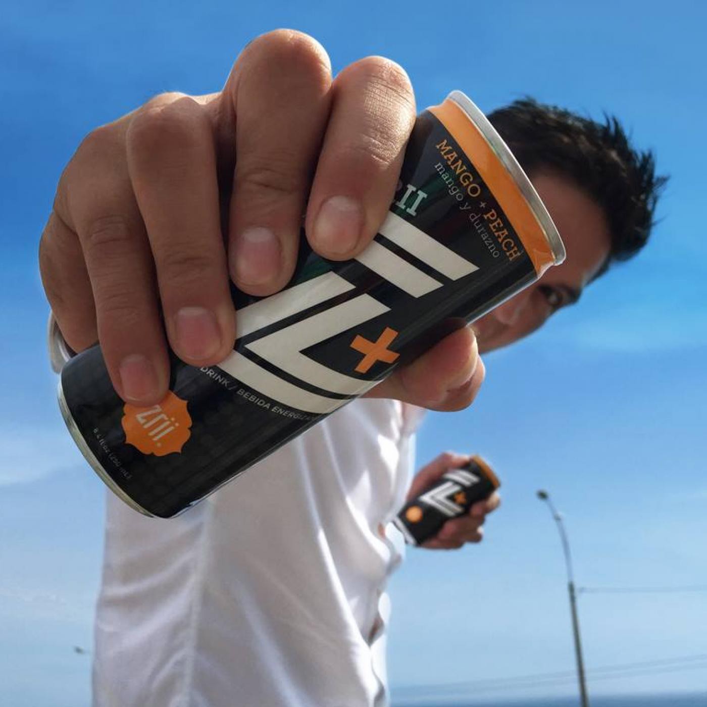 ZRII EPZ