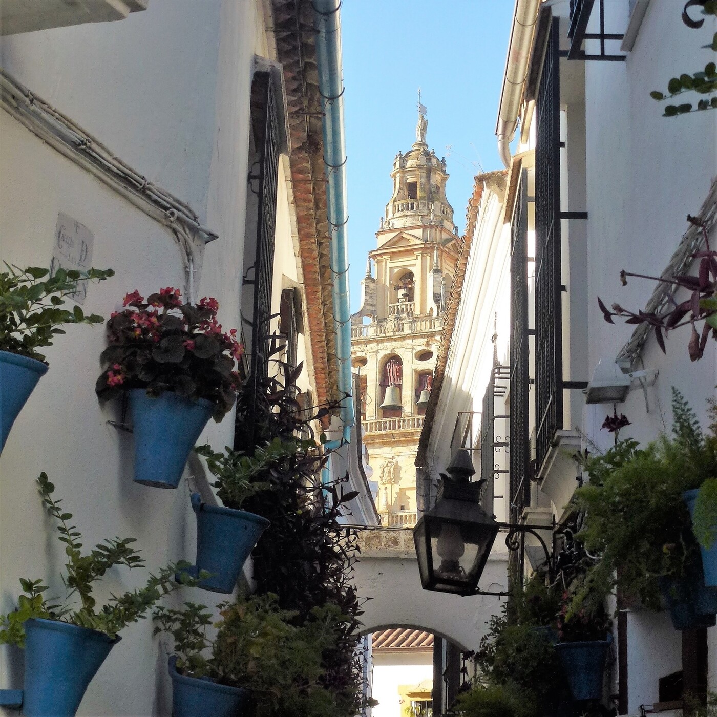 Un paseo por Córdoba con El Viajero Accidental episode artwork