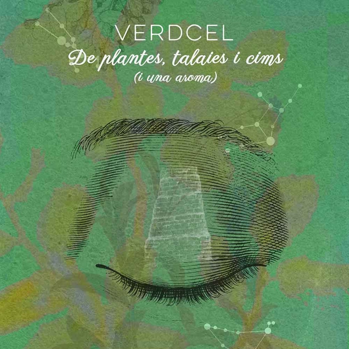 AMANECE PUNTO 7
