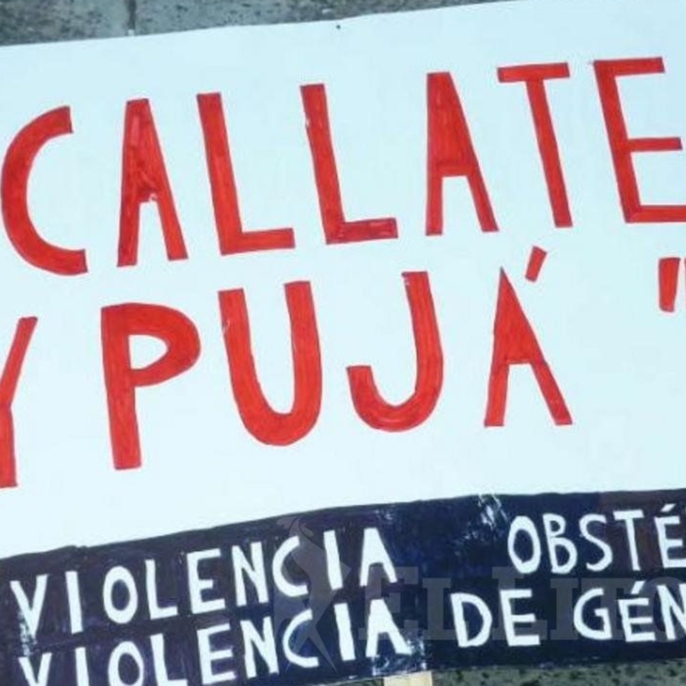Ojo al Piojo