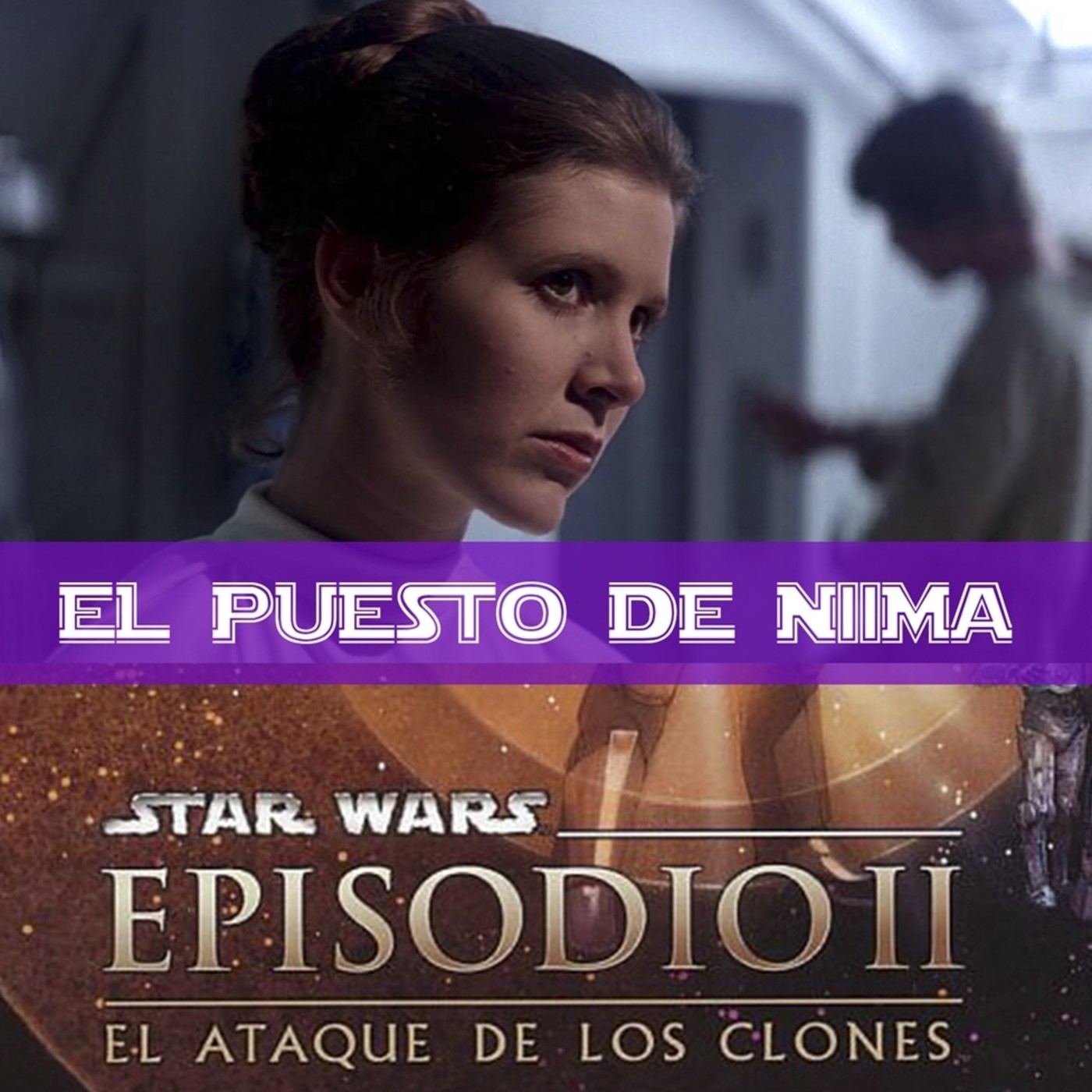 El Puesto de Niima