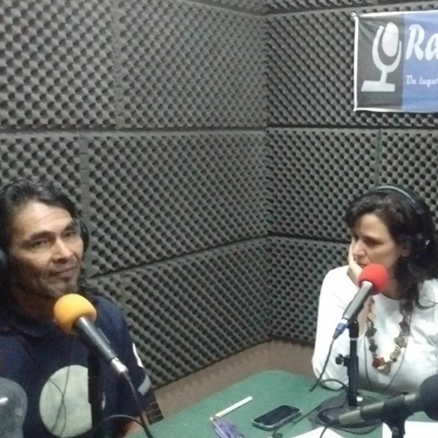 Charlas, ponencias, entrevistas
