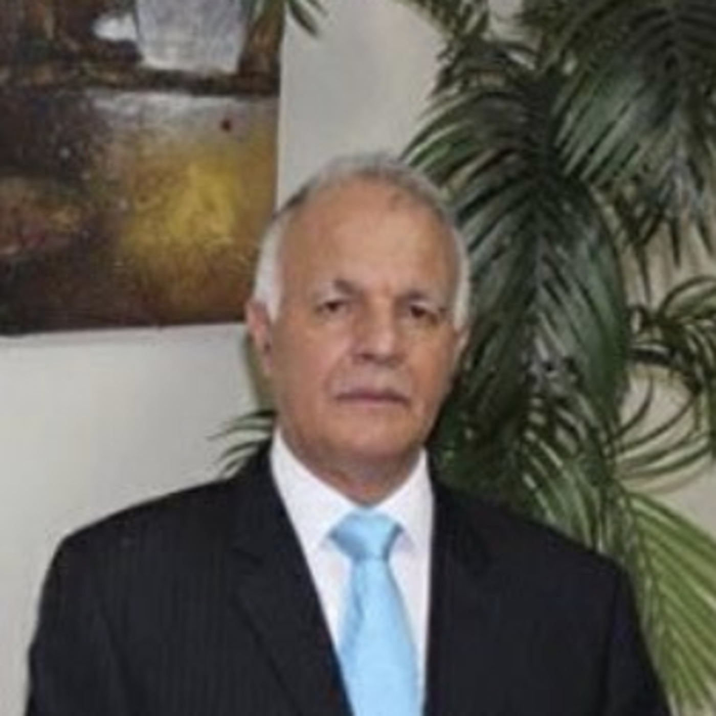 Entrevistas a Expertos del Sector Agropecuario
