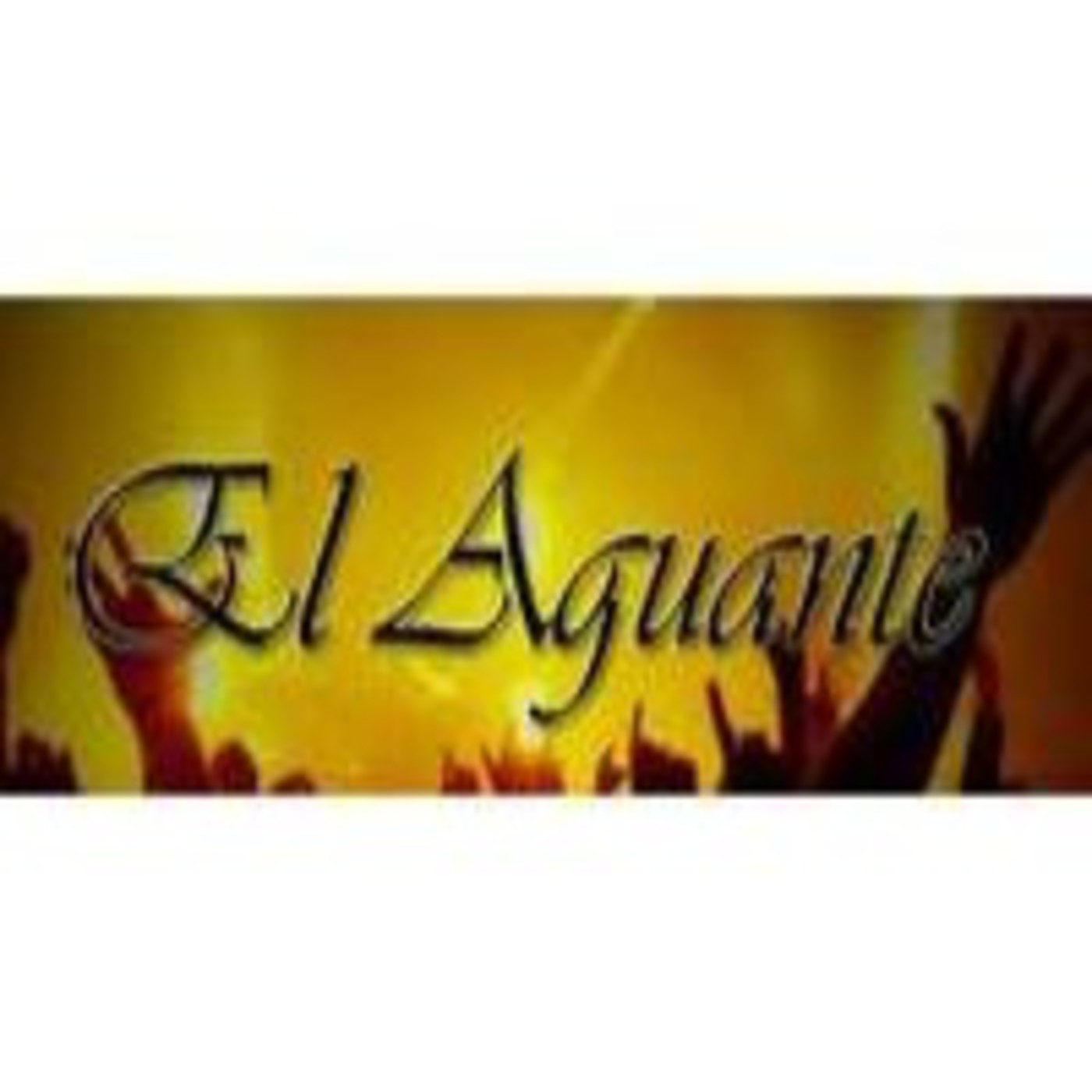 Podcast de RadioeLaguante ON Line