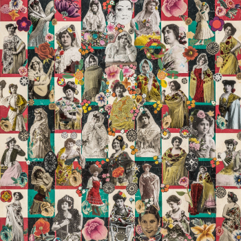 embed image