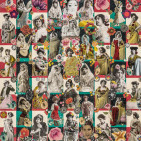 embed image