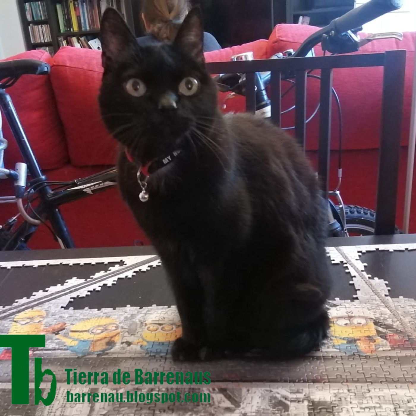 Tierra de barrenaus