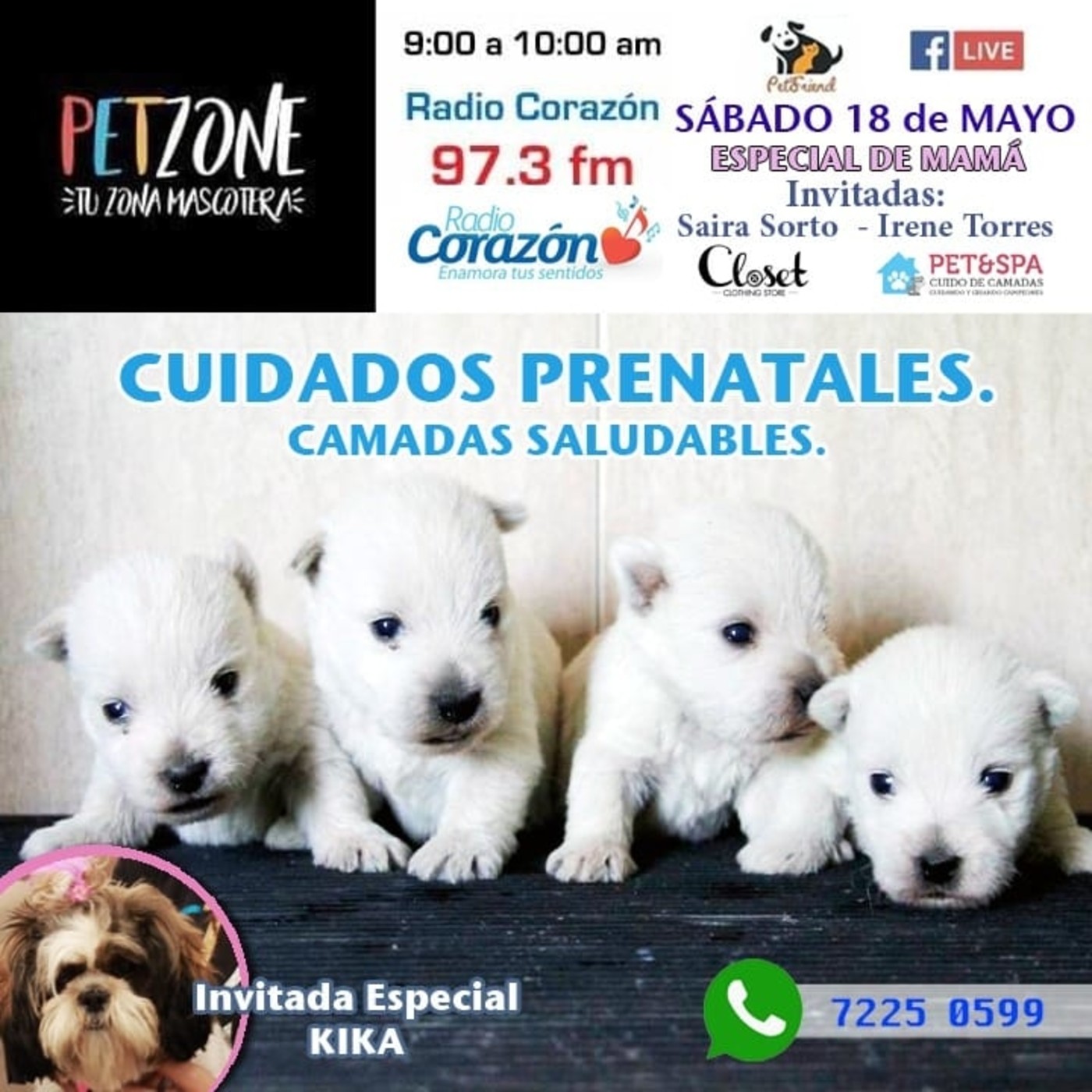 PetzoneSV