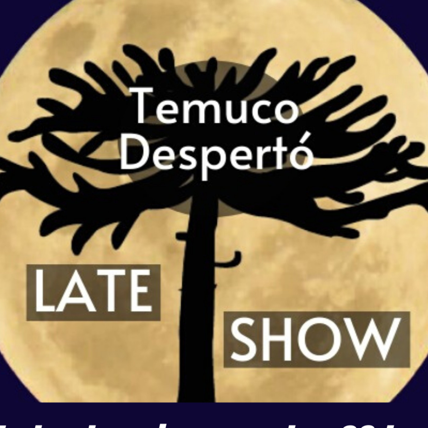 Temuco Despertó Late Show