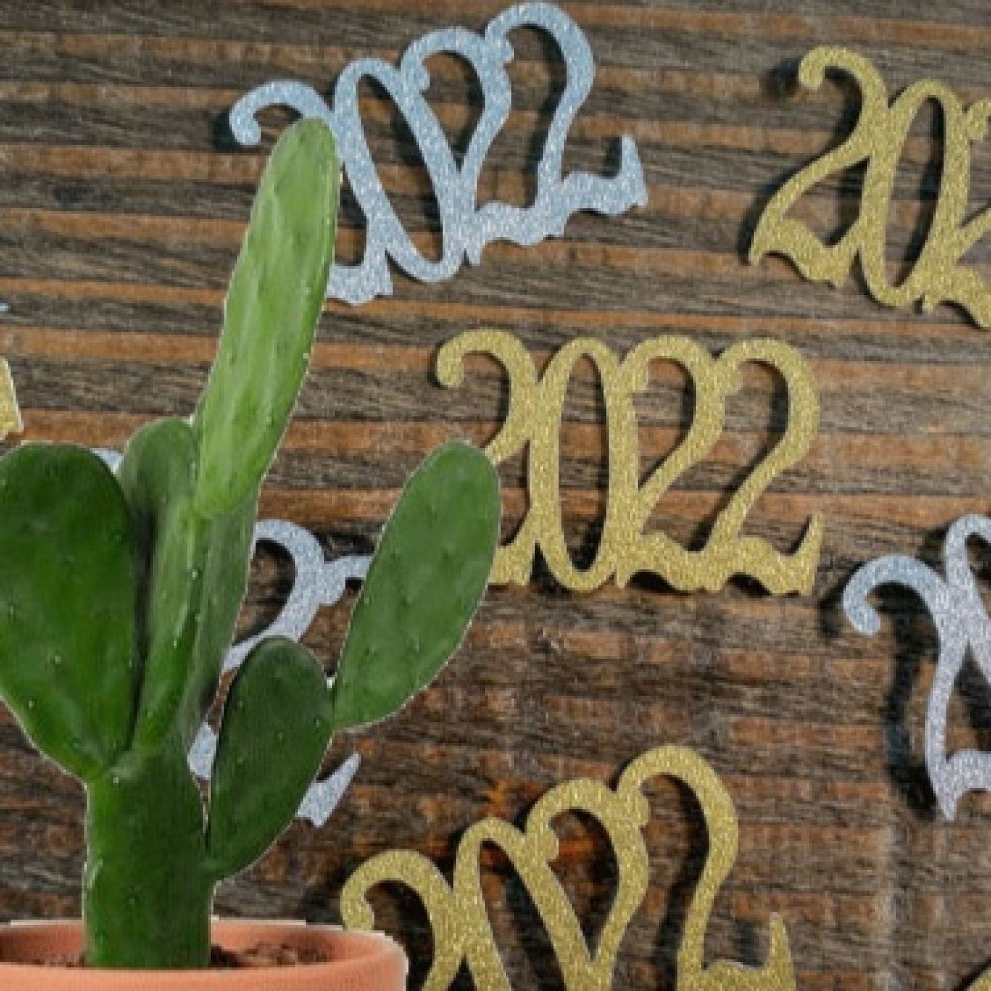 Cactus Confetti
