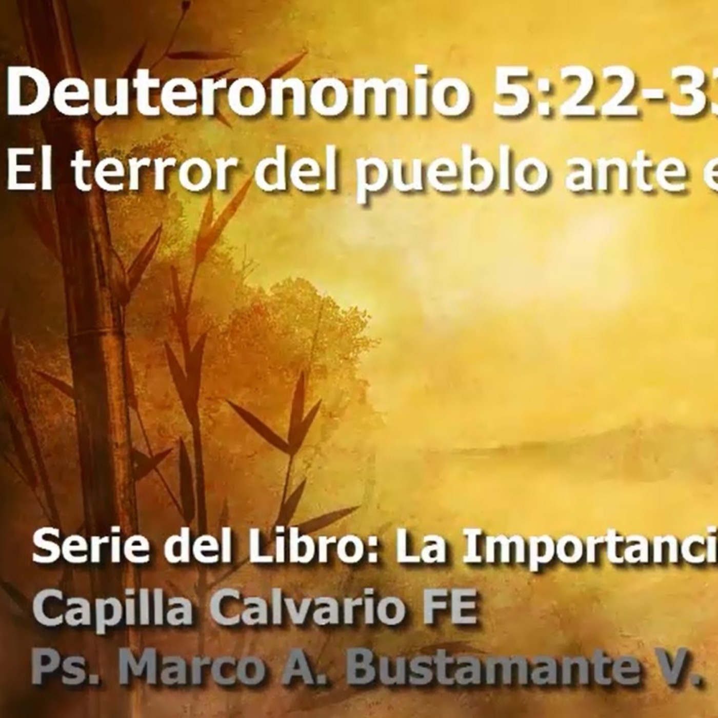 Deuteronomio - La importancia de la obediencia