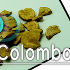 Nutribella - COLOMBO