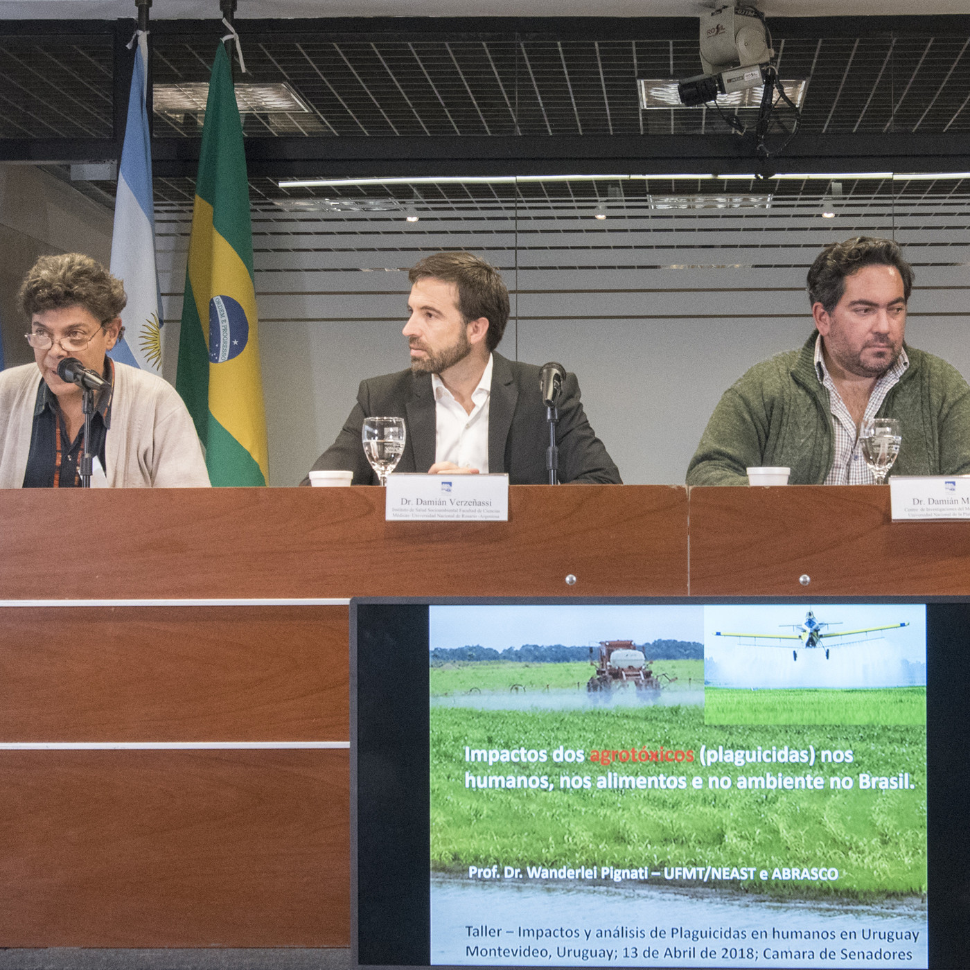 SIEMPRE LA VIDA - MOVIMIENTO PRO ECOLOGÍA -