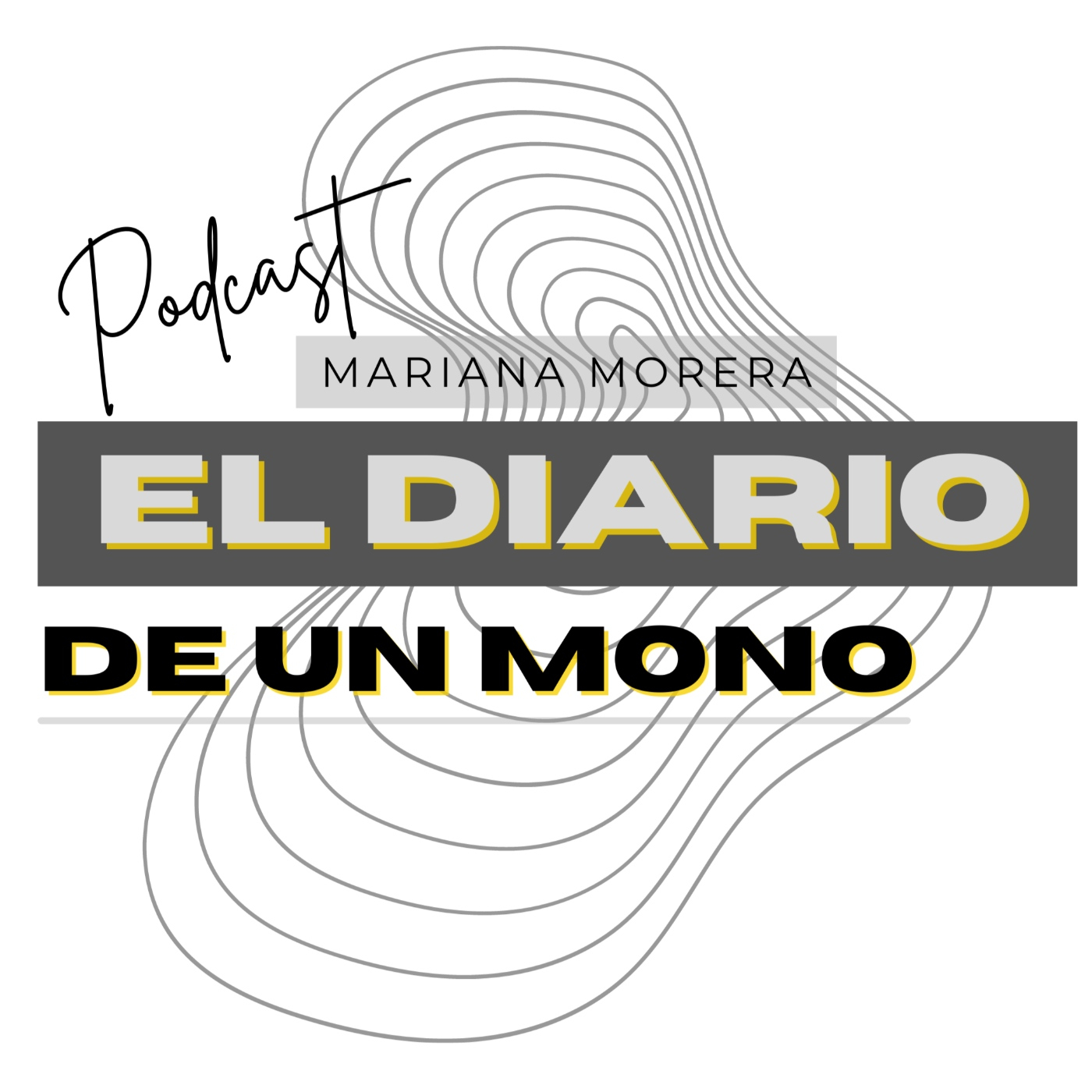 El Diario de un artista