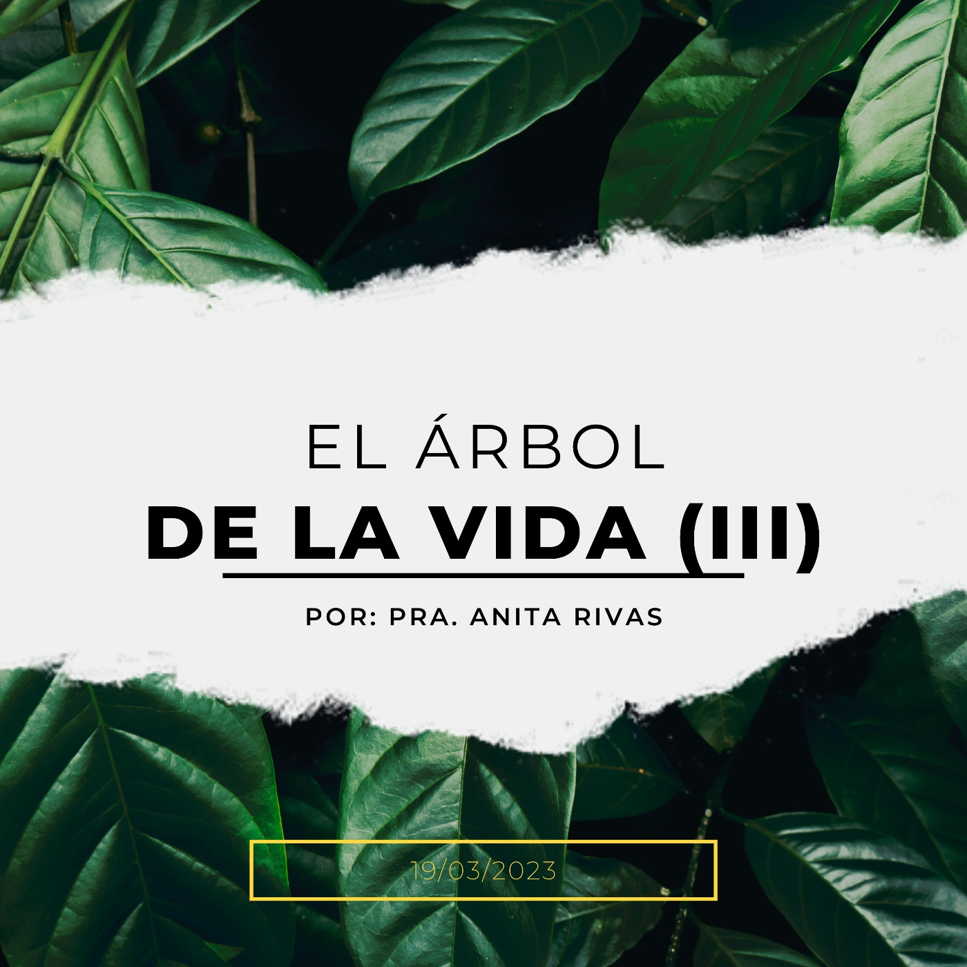 Iglesia Cristo Plenitud de Vida