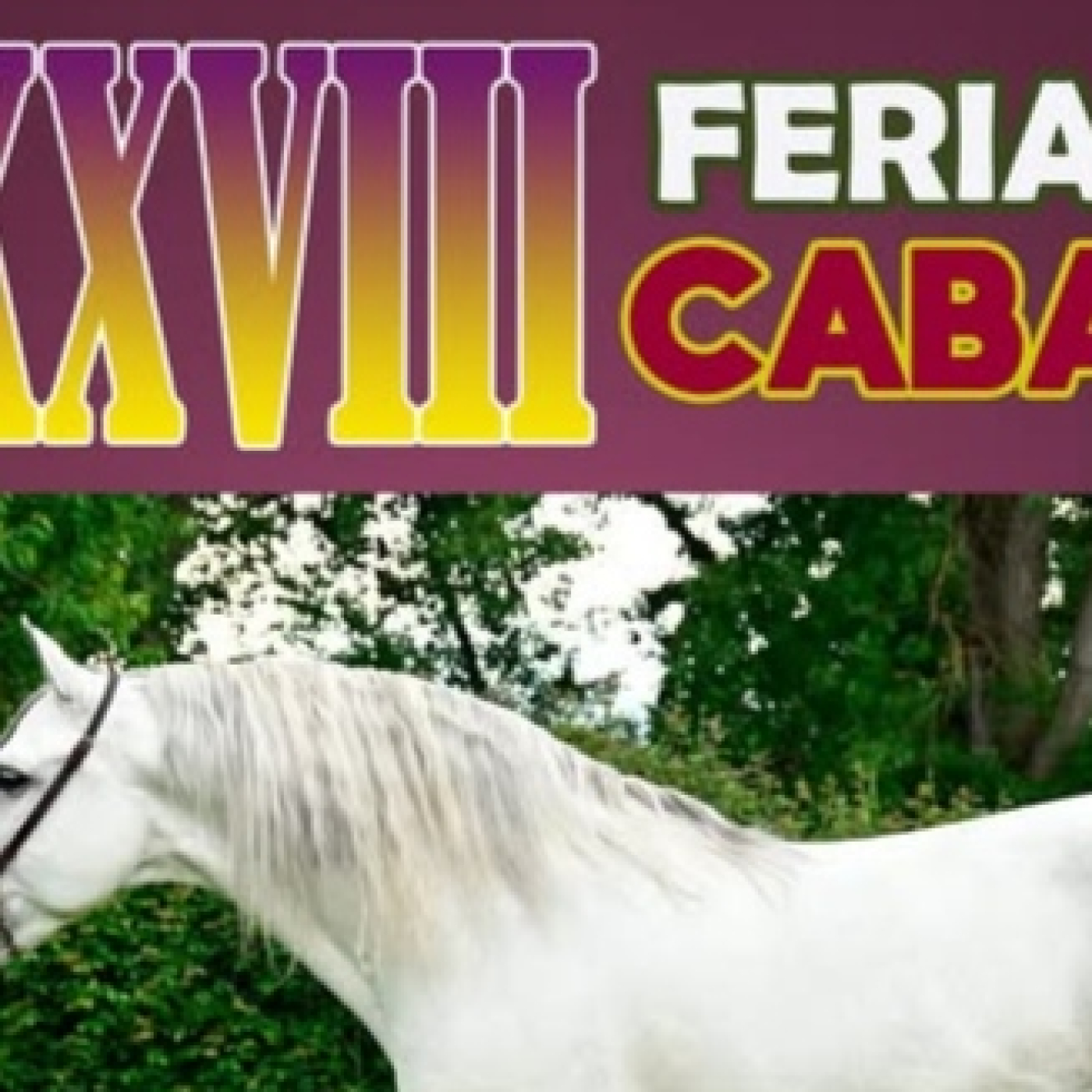 Eduardo Morán es el alcalde de Camponaraya y hablamos con él de la Feria del Caballo de este fin de semana en el ferial