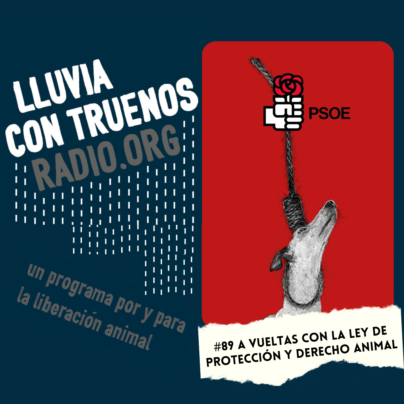 # 89 A vueltas con la Ley de Protección y derechos de los animales