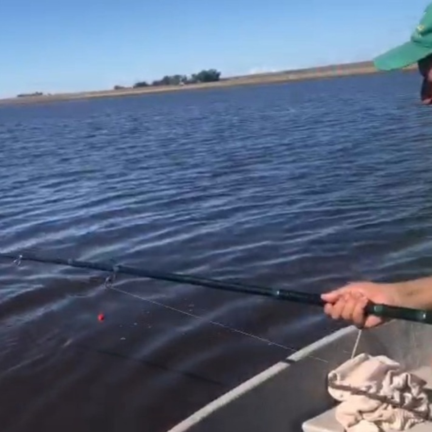 Planeta Pesca