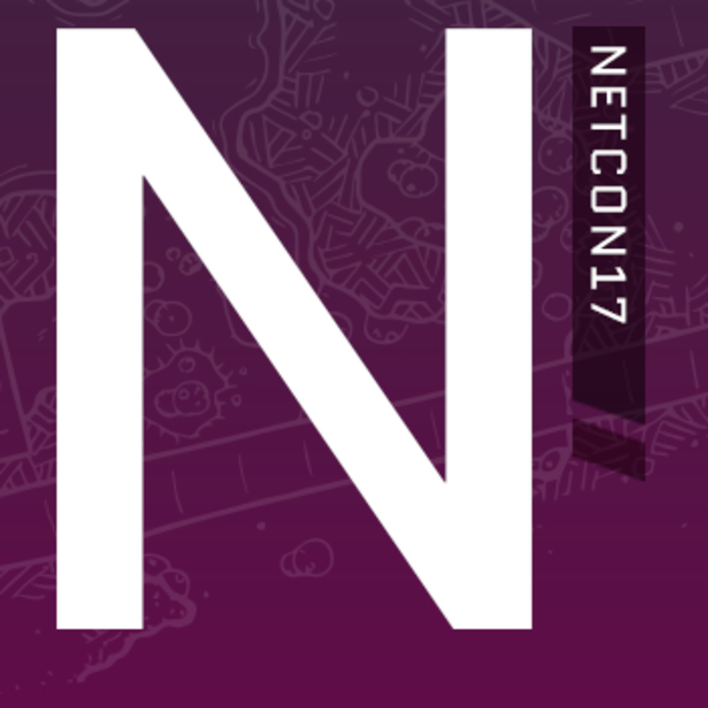 NetCon 17 dia 12-04-17