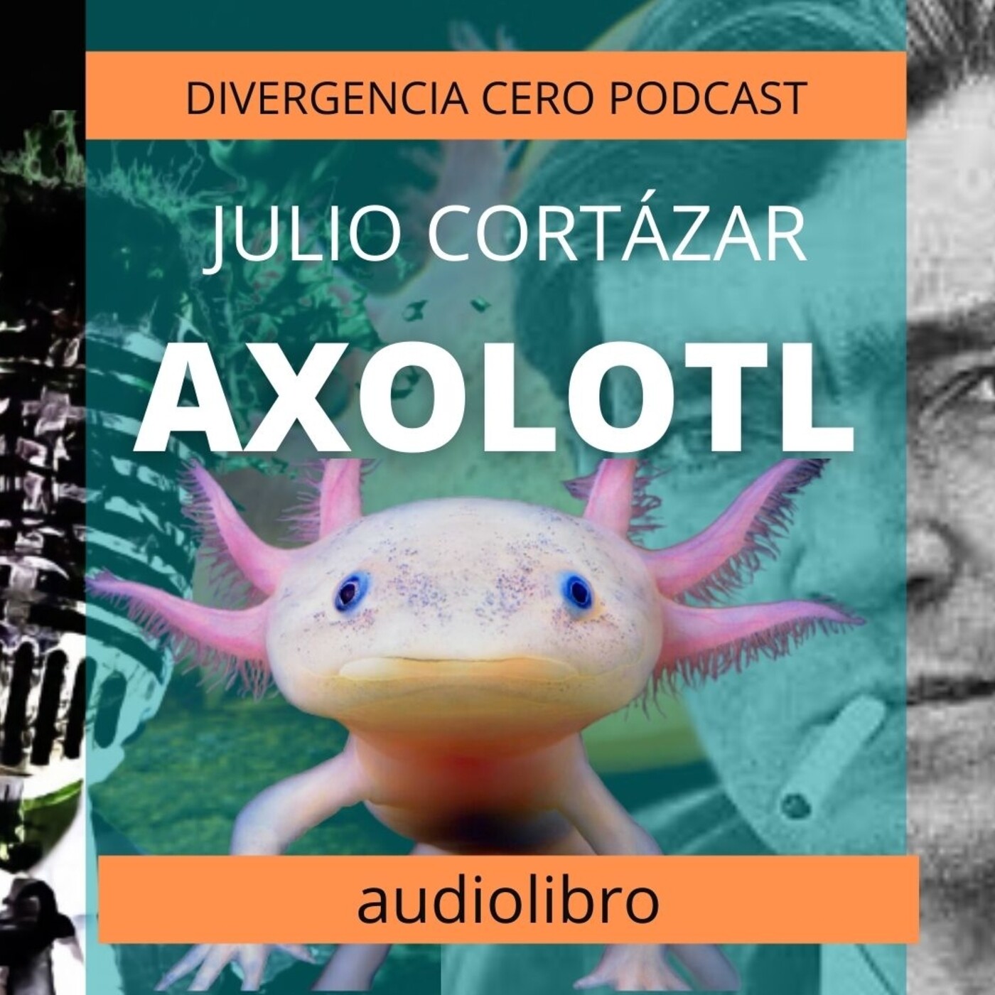 DIVERGENCIA CERO