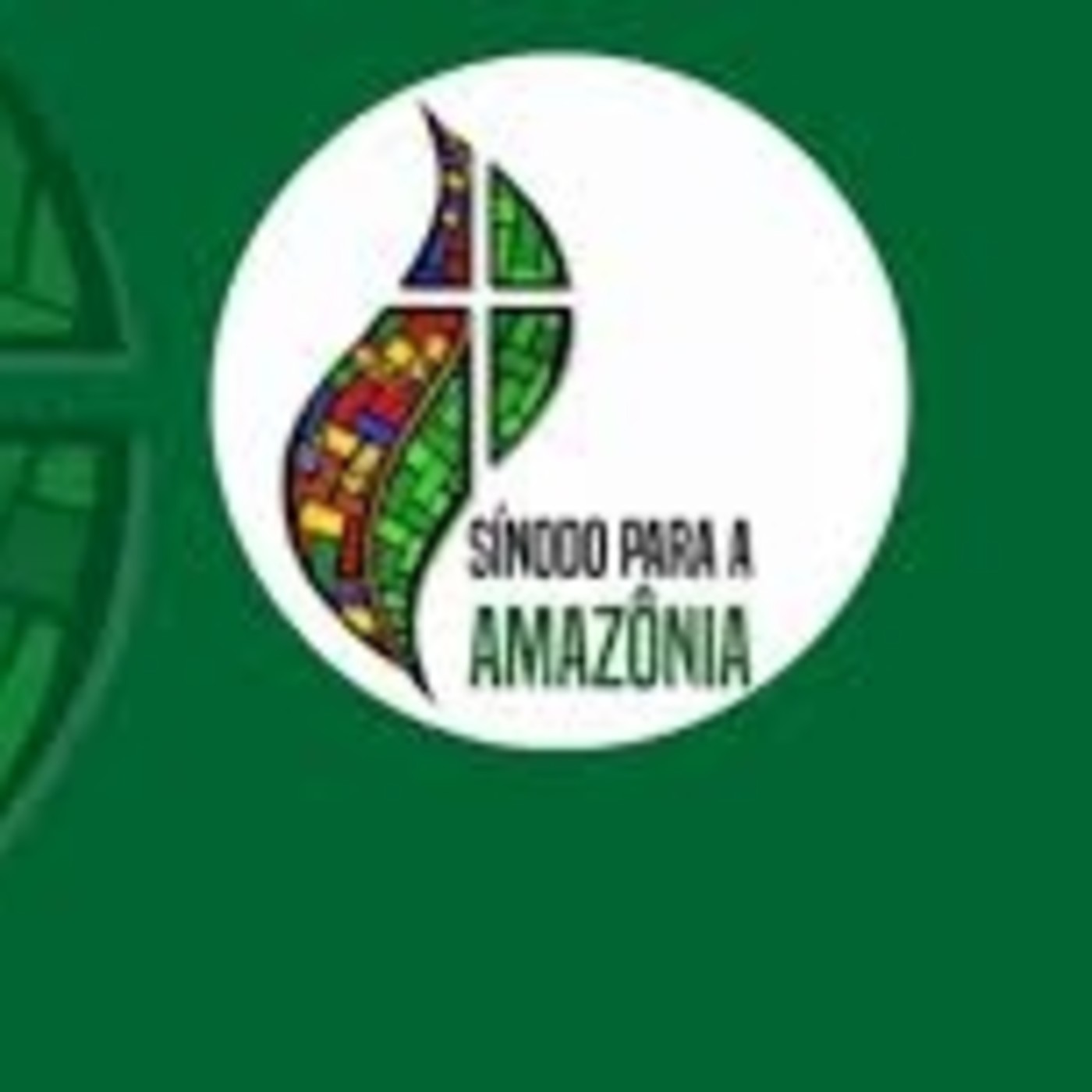 Amazonía en Roma