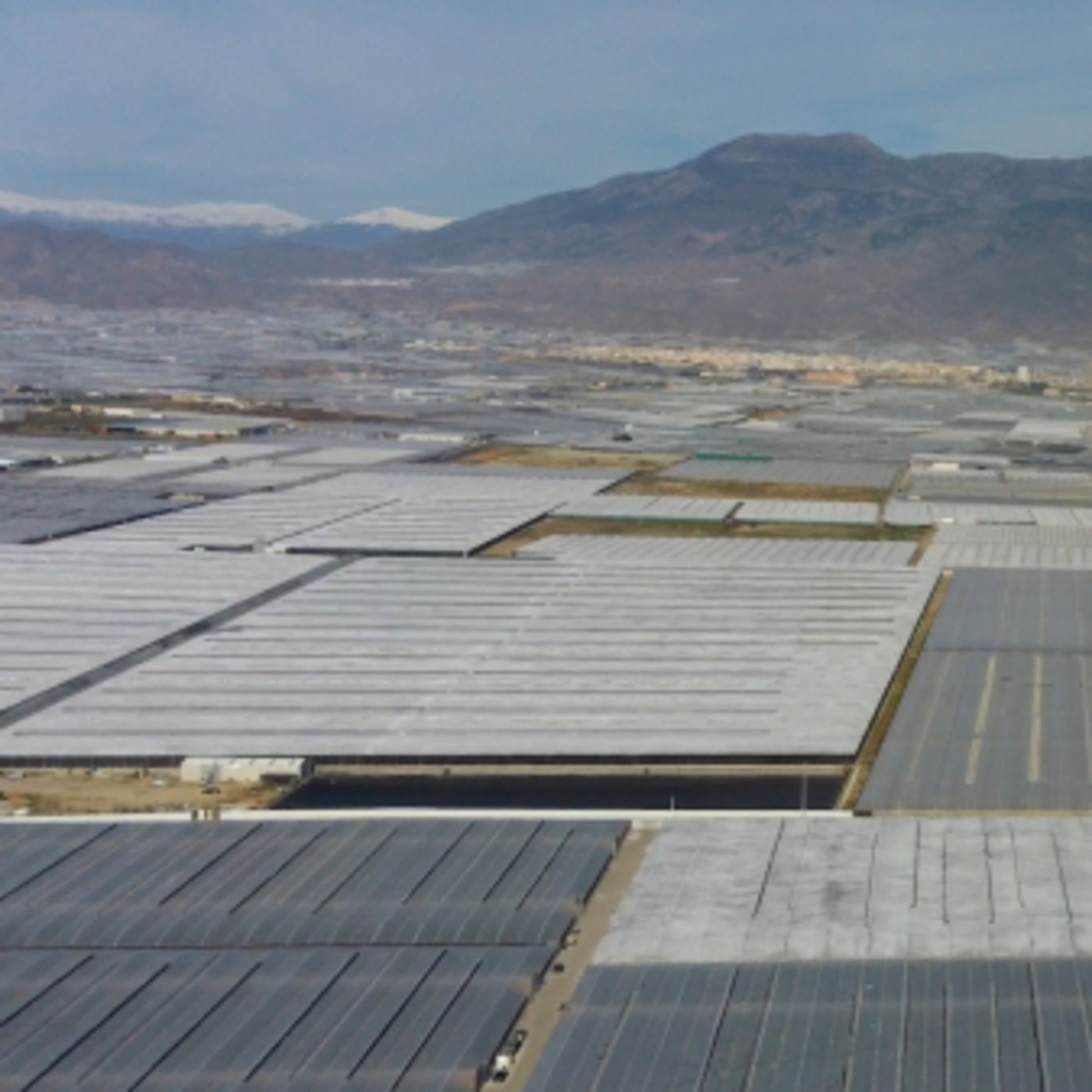 Reporting On Resistances