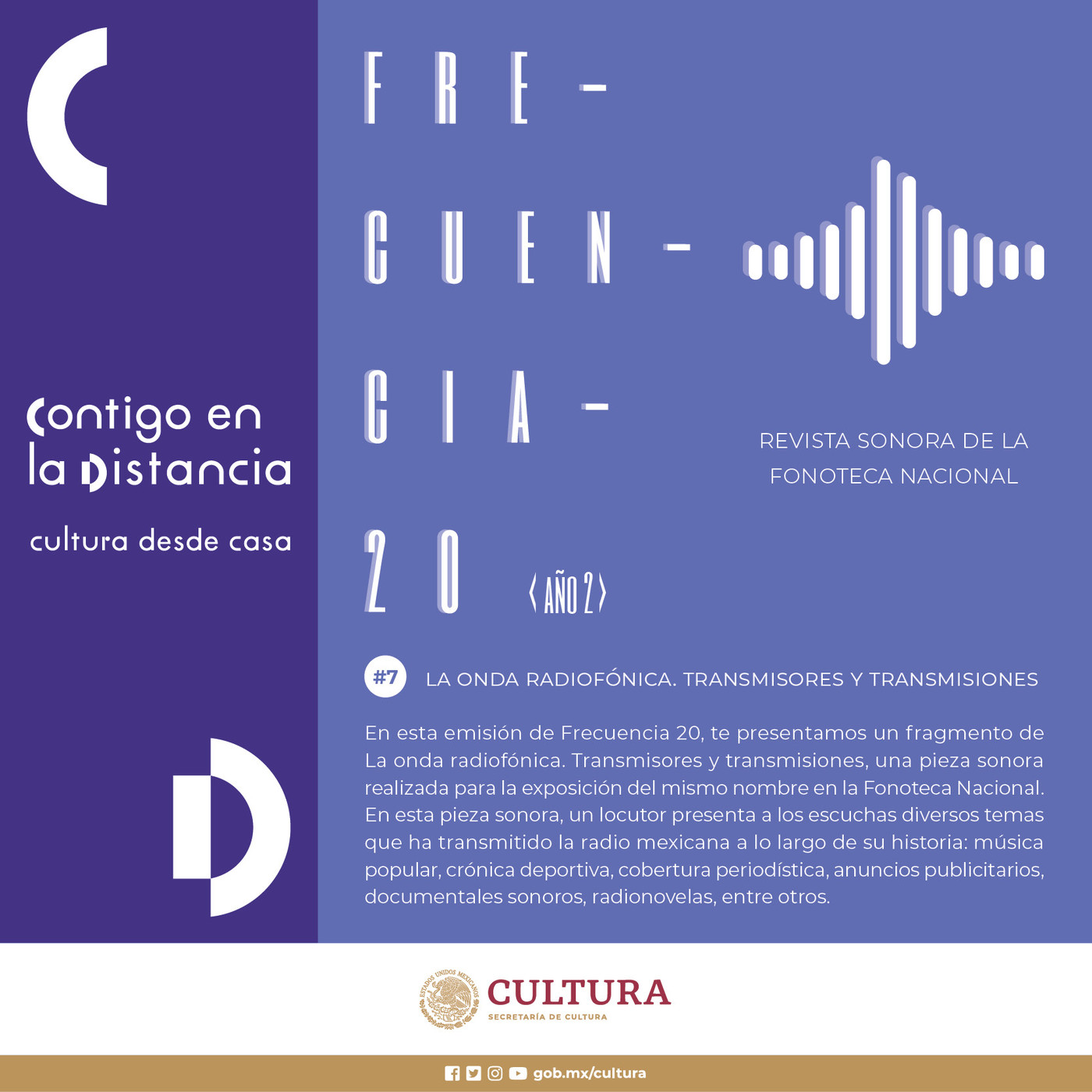 Frecuencia 20