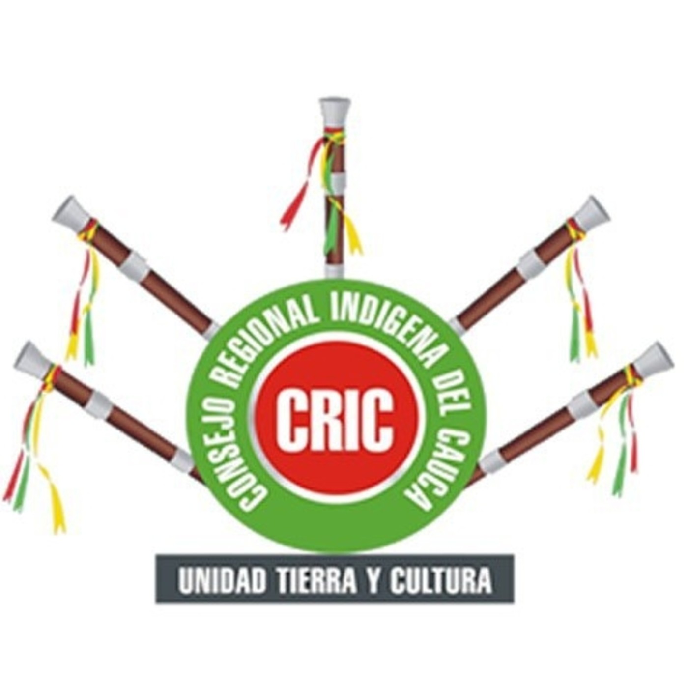 INFORMATIVO REGIONAL CRIC - 23 ABRIL 2021 episode artwork