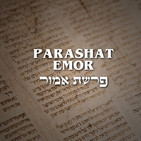 Parashat Emor - 2020 (La Blasfemia y la Justicia)