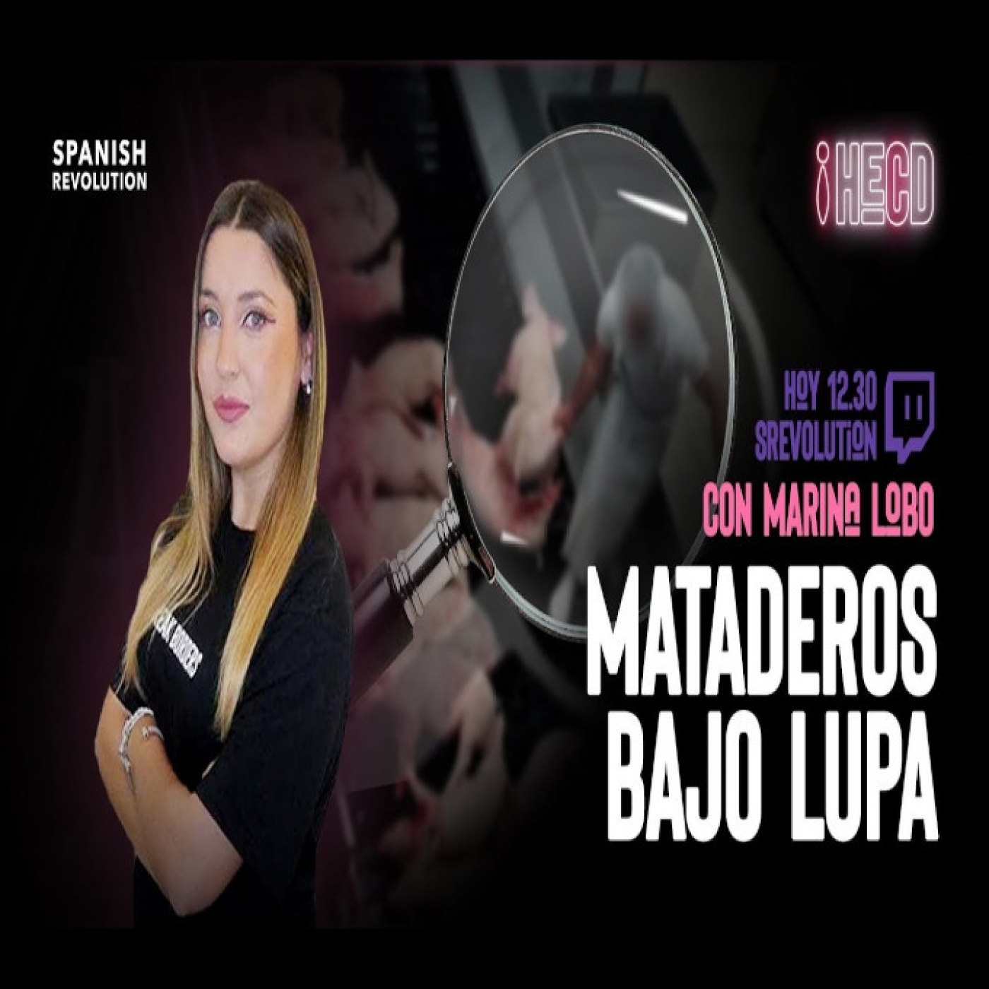 HECD 119 - Videovigilancia en mataderos y "paliza" a Hermann Tertsch Diputado al Parlamento Europeo