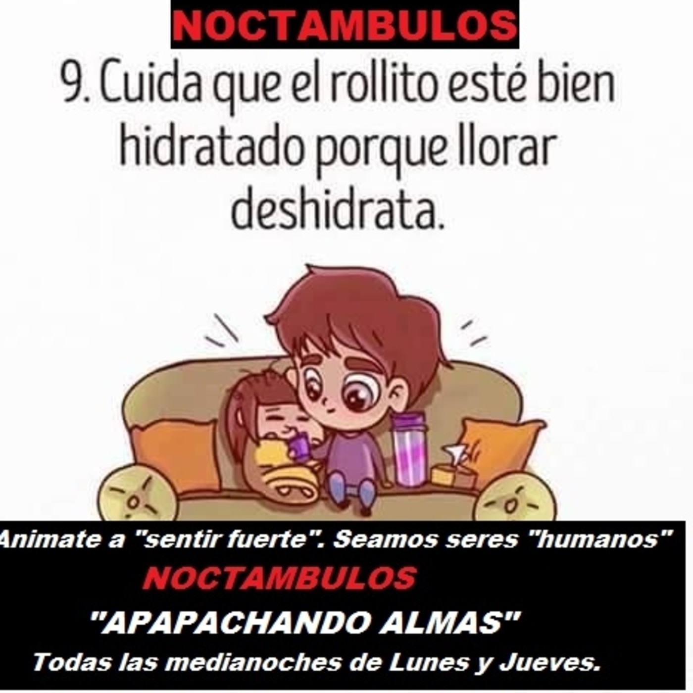 Programas de NOCTAMBULOS