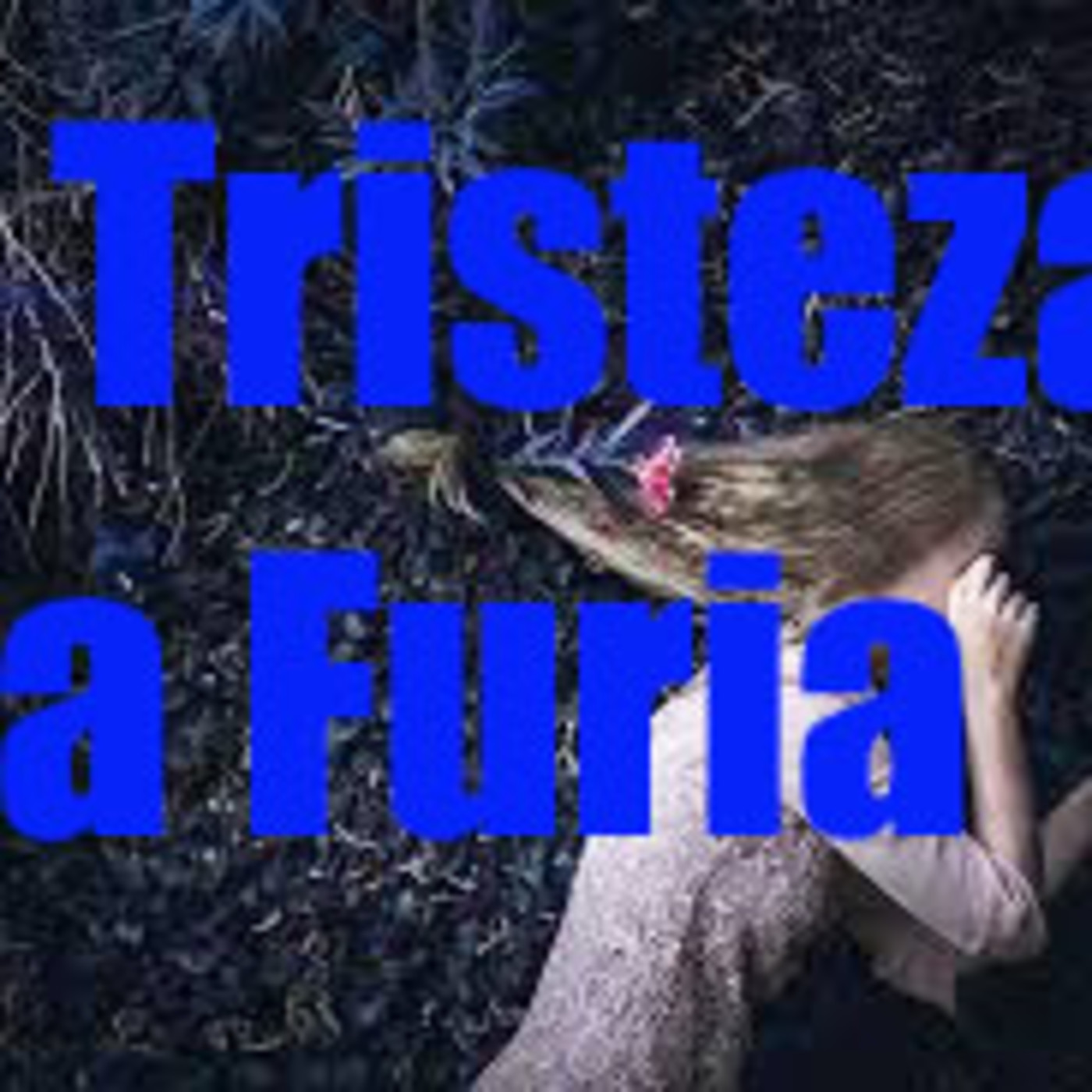 Fábula para Reflexionar - La Tristeza y La Furia